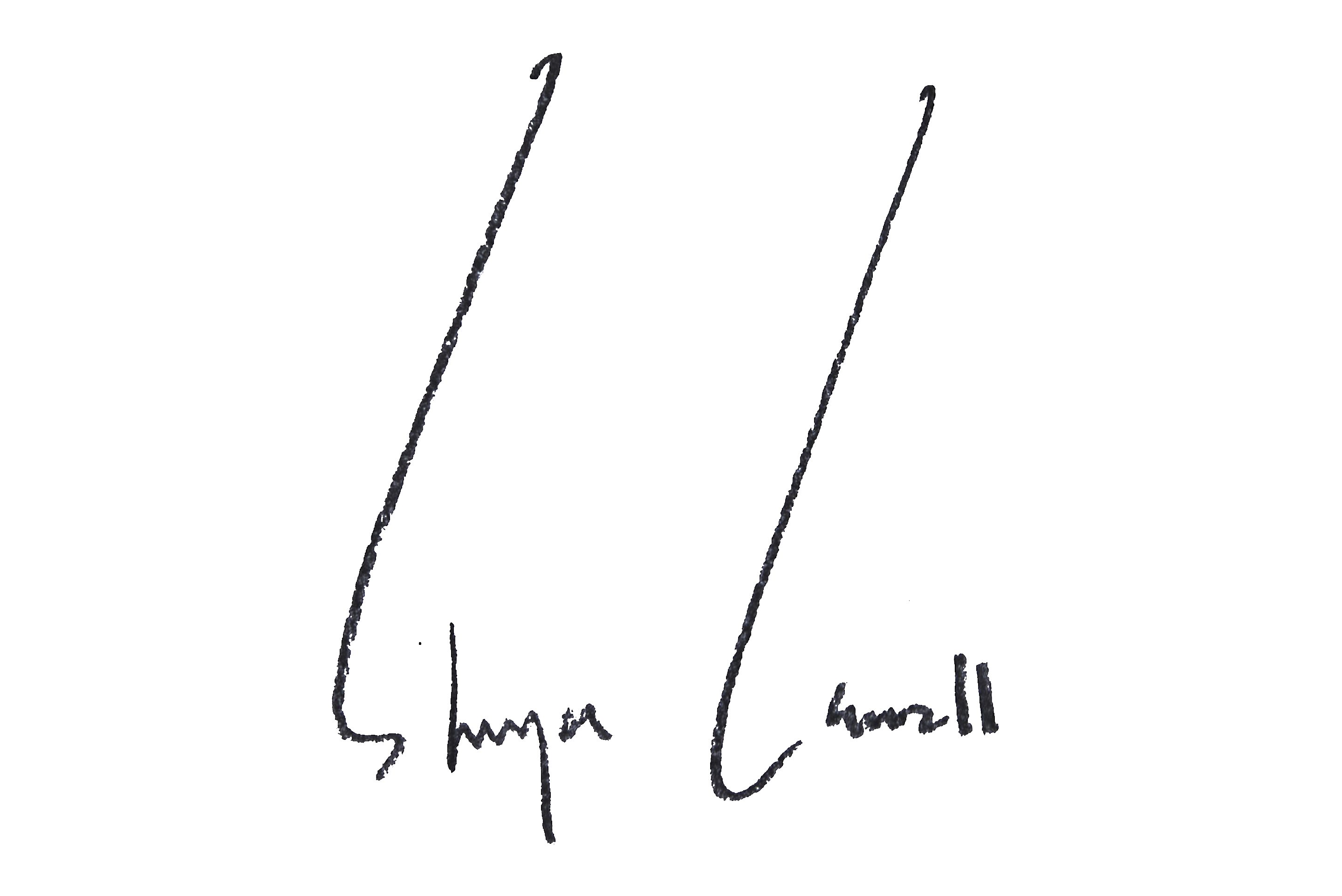 Shunya signature